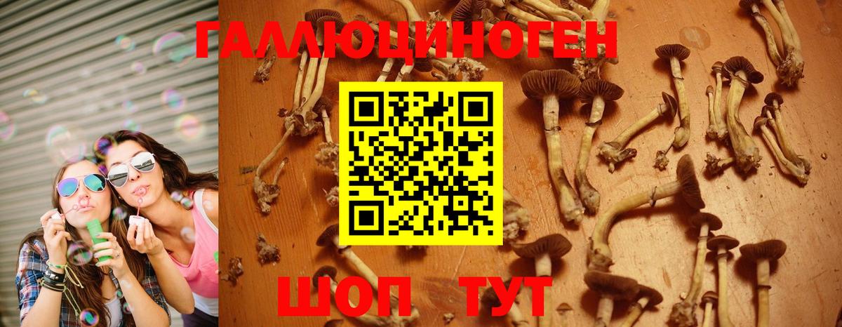 Галлюциногенные грибы мухоморы  Вход с VPN  Галлюциногенные грибы Psilocybine cubensis  Пугачёв 