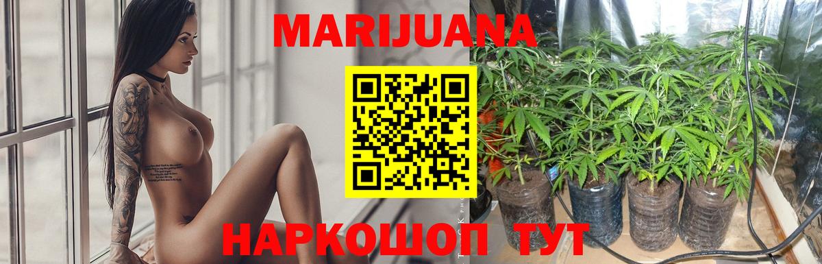 Пугачёв  Марихуана план  Вход с VPN  Шишки марихуана THC 21% 